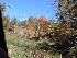 Canaan Valley